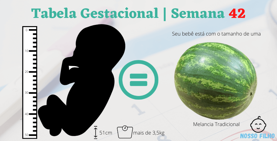 Semana 42 de gravidez - Nosso Filho