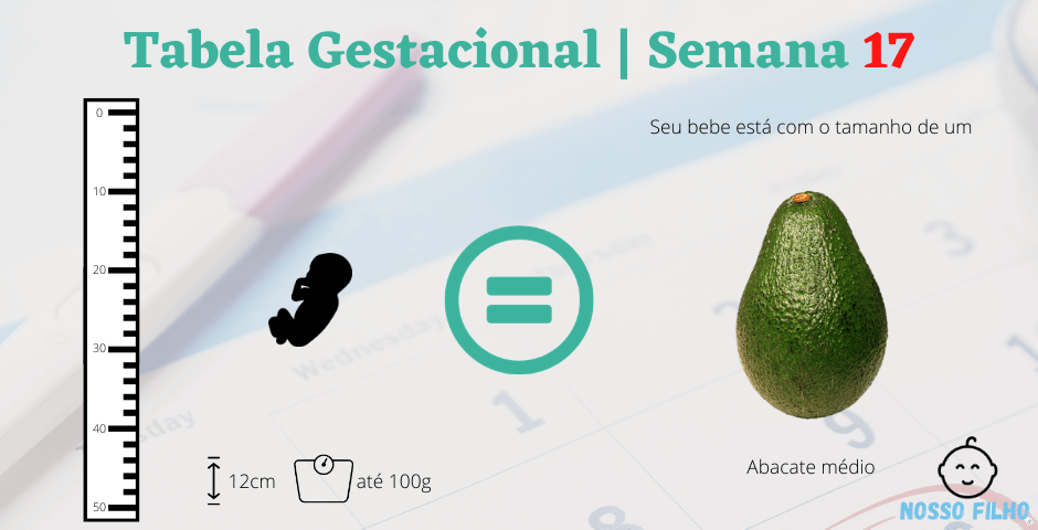 Semana 17 de gravidez - Nosso Filho